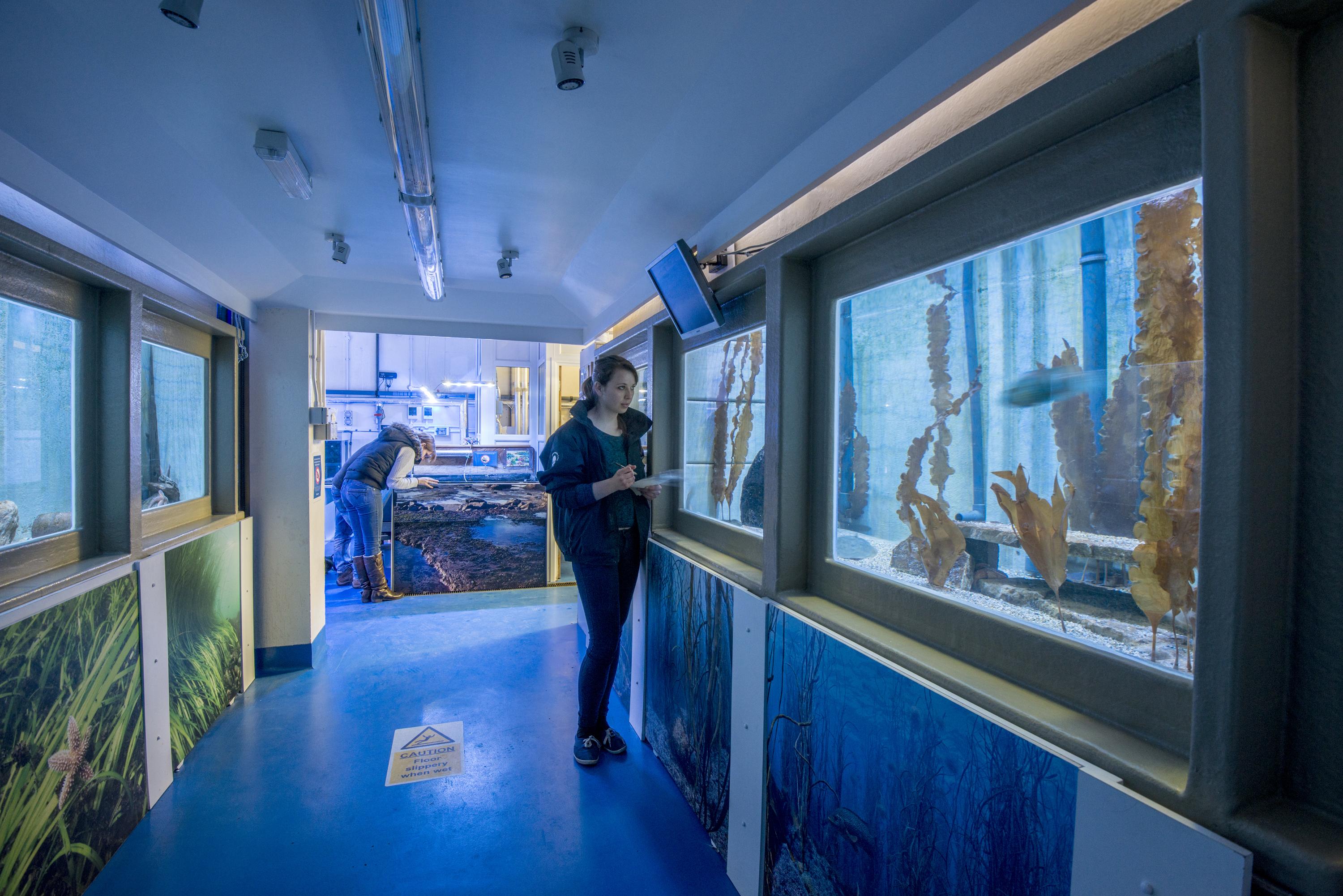 Research aquarium Ocean and Earth Science, National Oceanography
